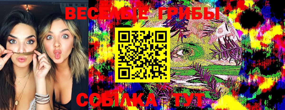 Курчалой  где можно купить   Галлюциногенные грибы Magic Shrooms  Вход с VPN  Галлюциногенные грибы Psilocybine cubensis 