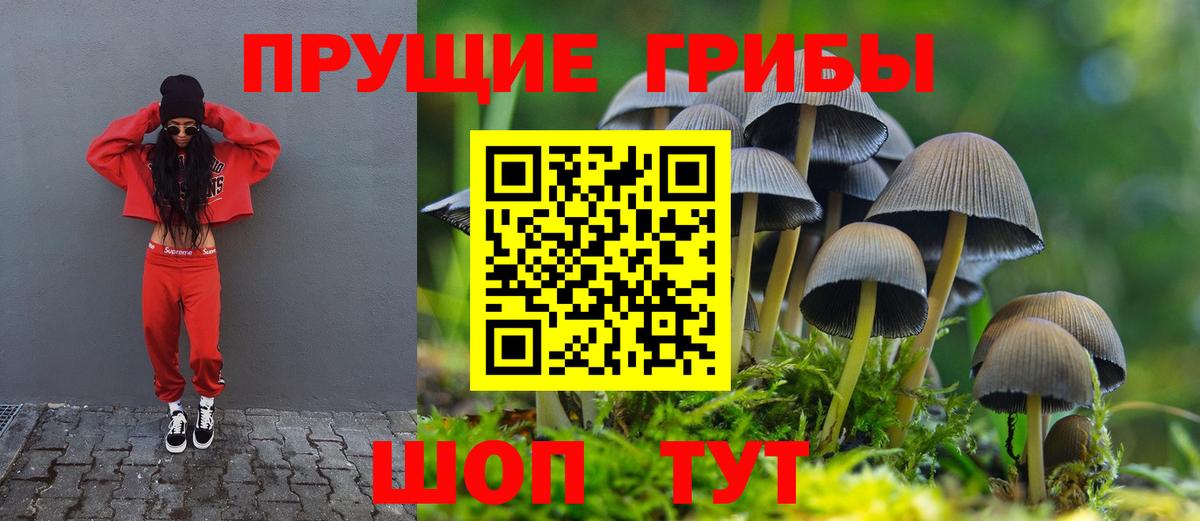 Кокаин Курчалой
